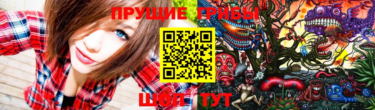 Псилоцибиновые грибы Cubensis Камышлов